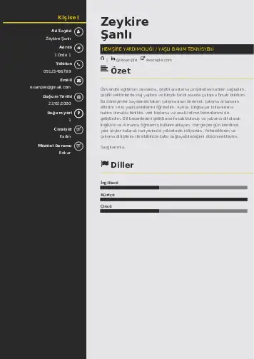 Hasta ve Yaşlı Bakım Elemanı Cv Örnekleri cv indir
